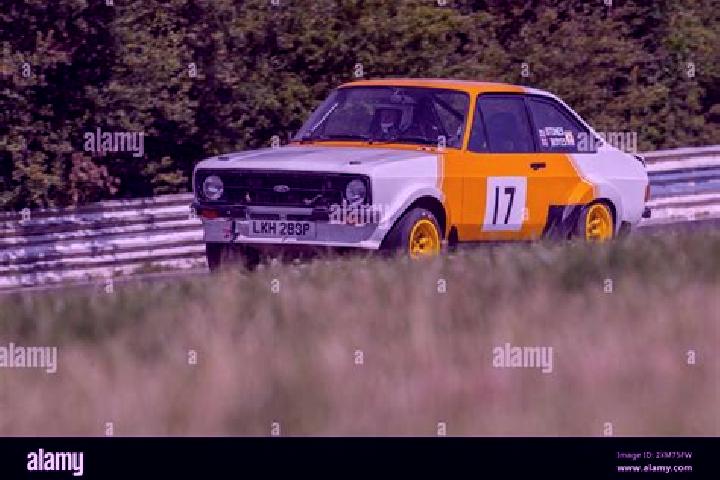 escort Vibora Park