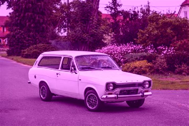 escort Videle