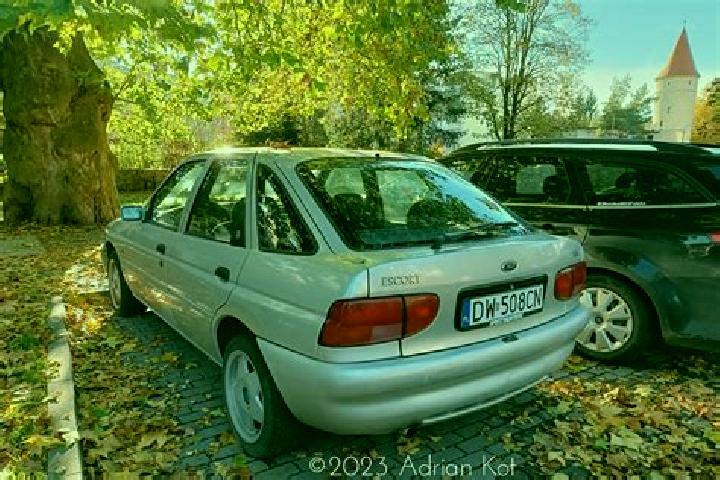 escort Vidra