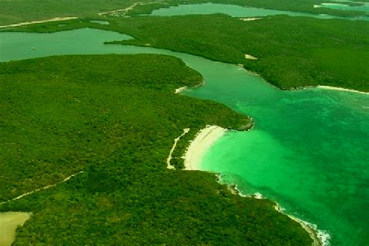 escort Vieques