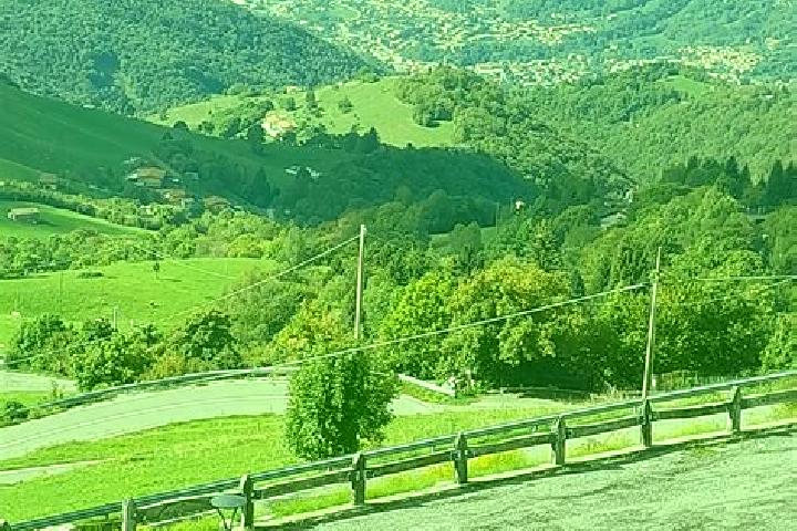 escort Vigano San Martino