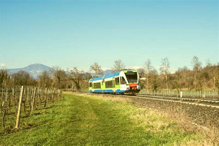 escort Vigliano-Bettolino