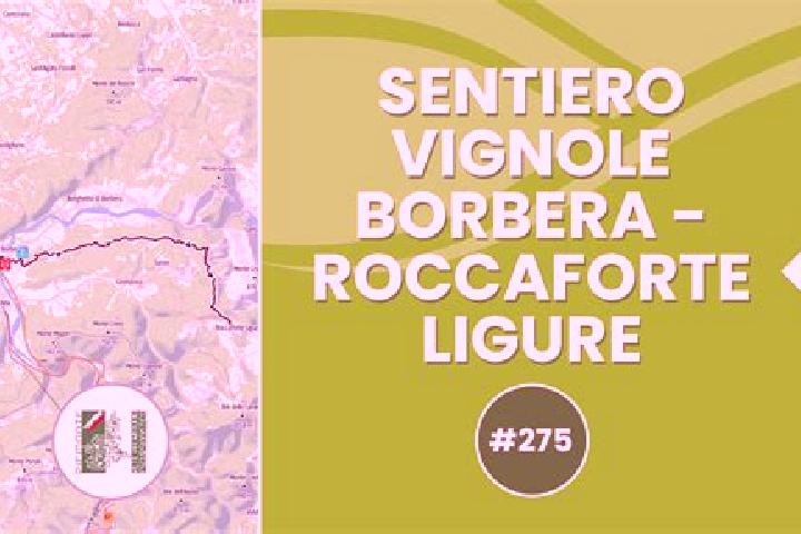 escort Vignole Borbera