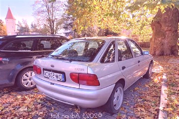 escort Viitivka
