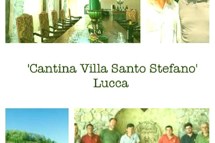 escort Villa Santo Stefano