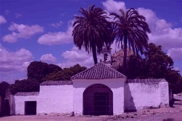 escort Villar de la Encina