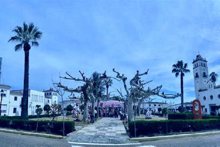 escort Villar del Rey