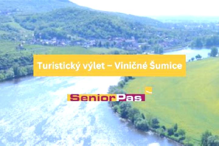 escort Vinicne Sumice