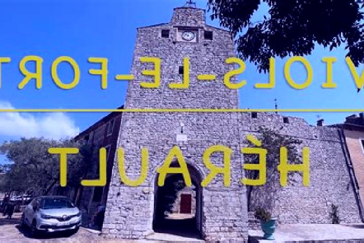 escort Viols-le-Fort