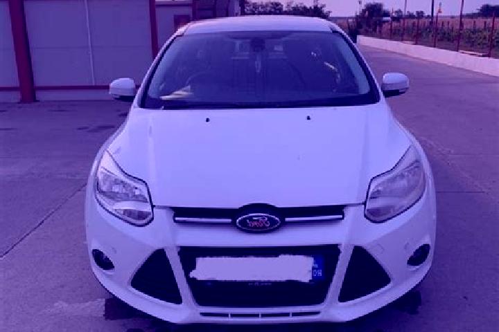 escort Visina Noua