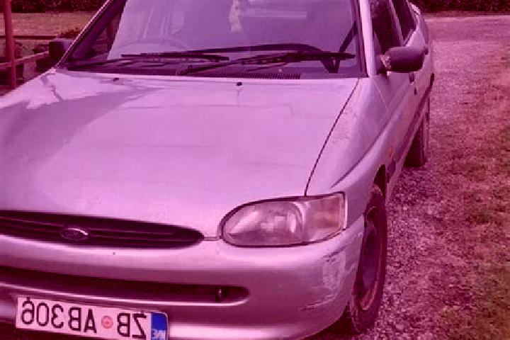 escort Visnja Gora