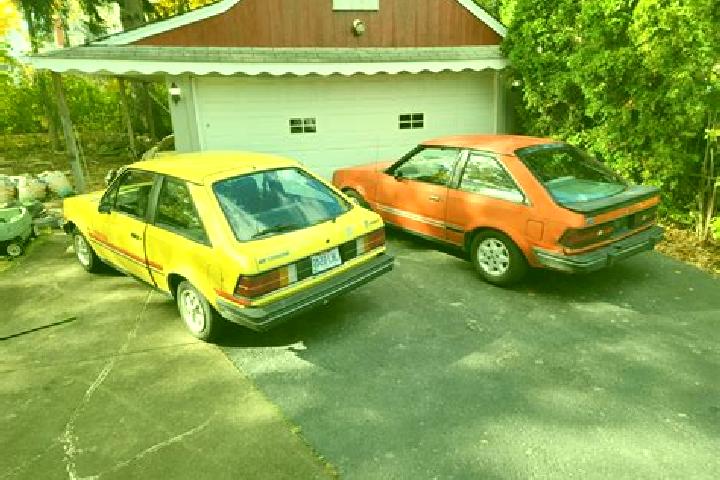 escort Vite