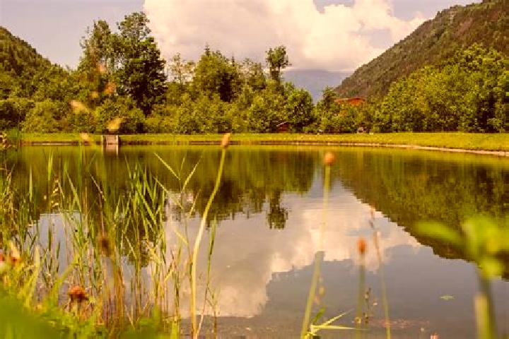 escort Viviers-les-Montagnes