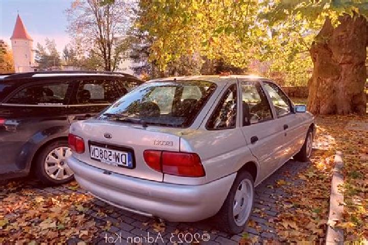escort Vologda