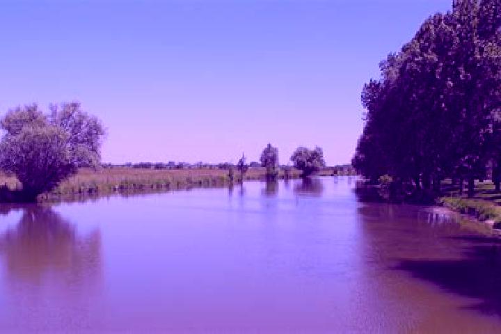 escort Vouille-les-Marais