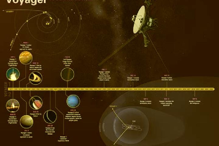 escort Voyager Point