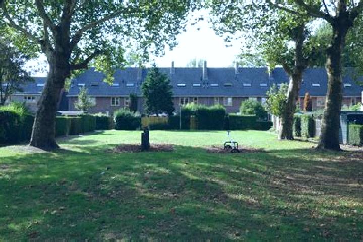 escort Vreewijk