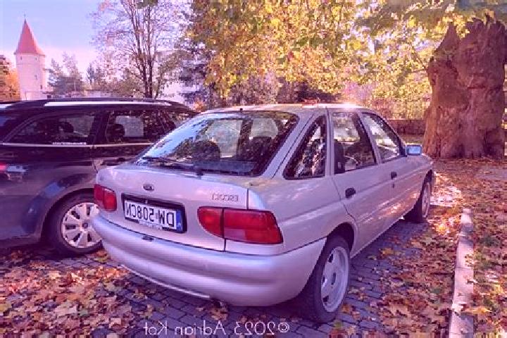escort Vucetinec