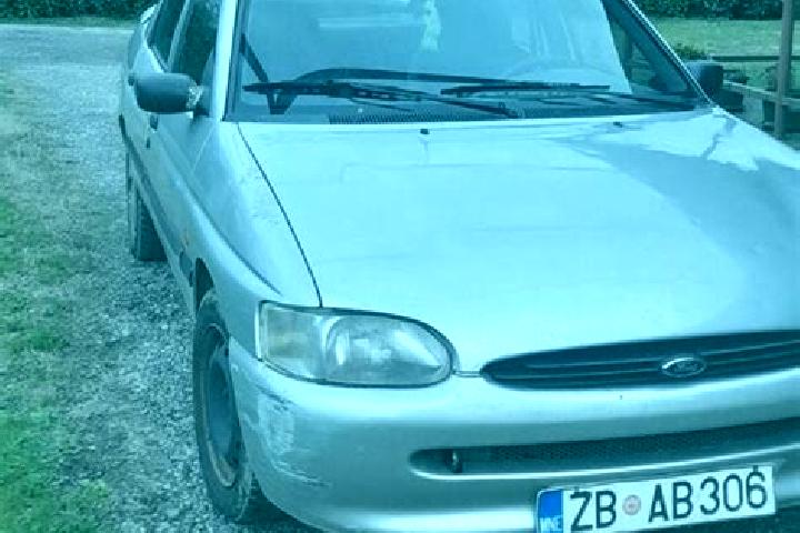 escort Vysokaya Gora