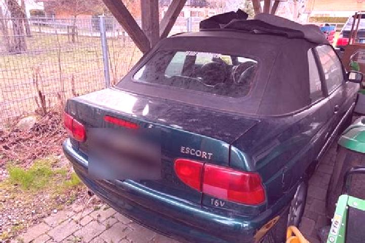 escort Waakirchen