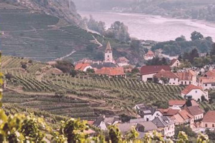 escort Wachau