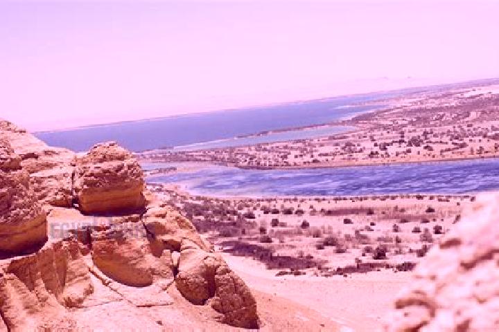 escort Wadi Rahhal