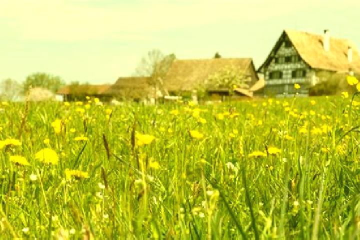 escort Waedenswil / Hangenmoos