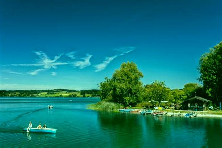 escort Waging am See