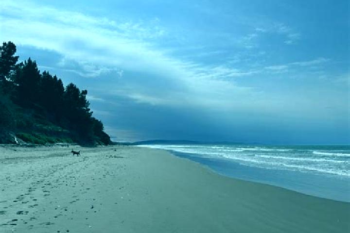 escort Waikuku Beach