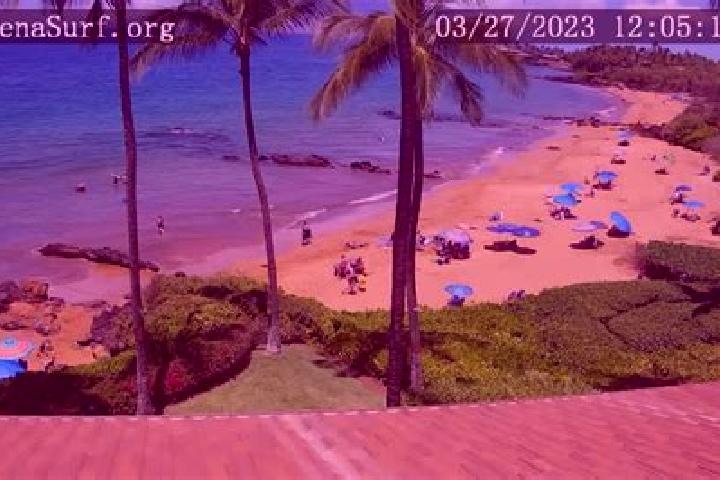 escort Wailea-Makena