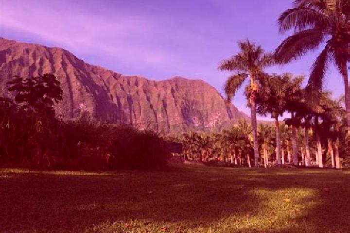 escort Waimanalo