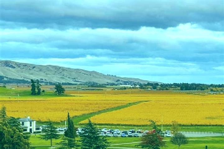 escort Wairau Valley
