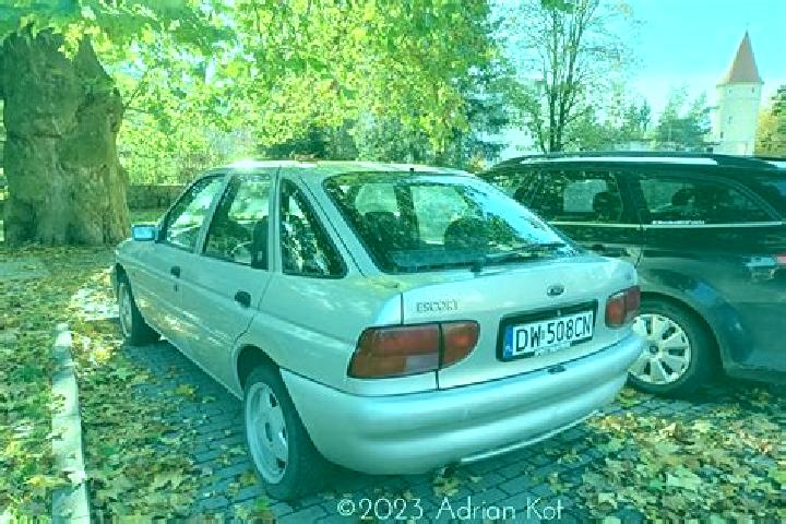escort Wajiki