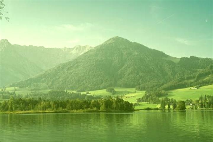 escort Walchsee