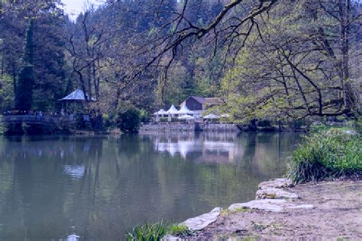 escort Waldsee