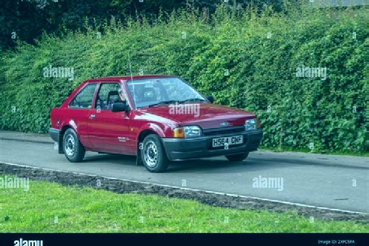 escort Wallendorf