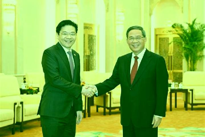 escort Wangyi Zhendian