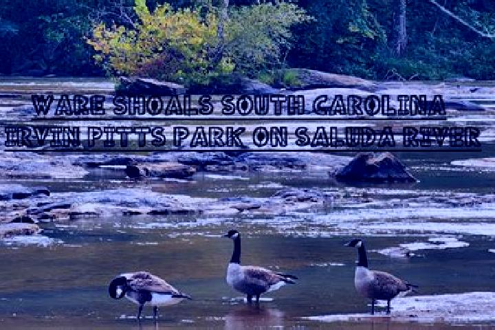 escort Ware Shoals