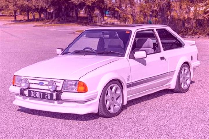 escort Warnice