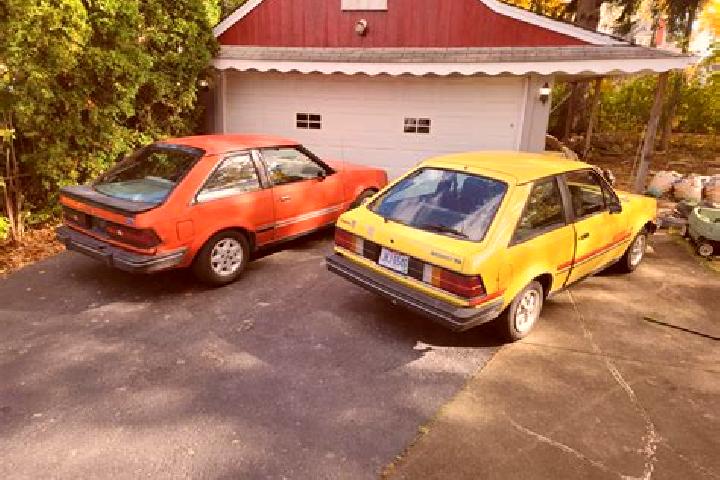 escort Warranwood