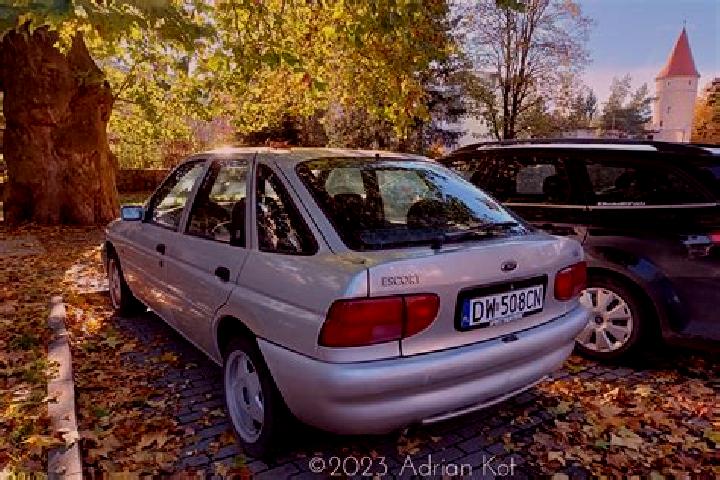 escort Wasbek