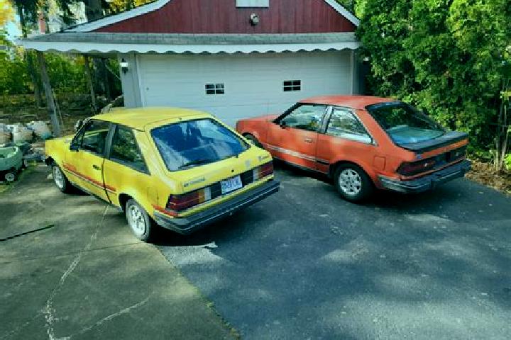 escort Washingtonville