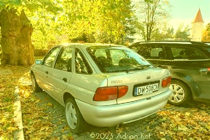 escort Waskemeer