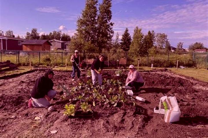 escort Waswanipi