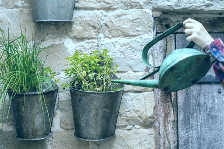 escort Watering Place