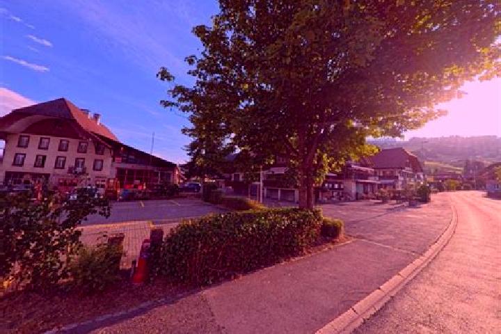 escort Wattenwil