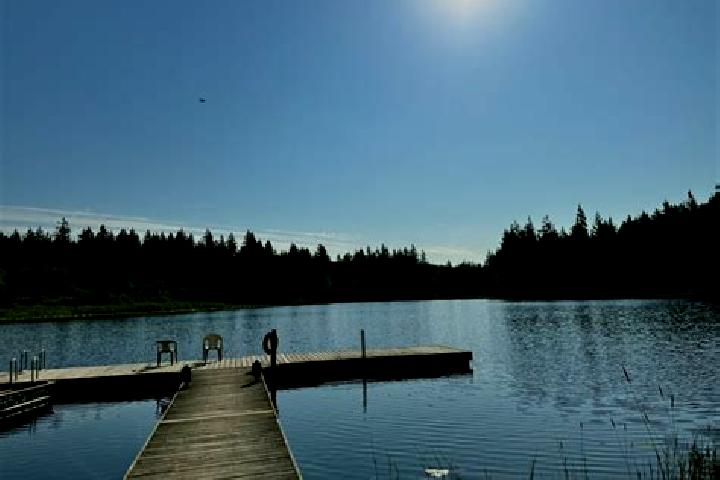 escort Weallup Lake