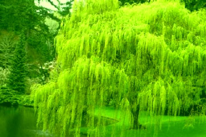 escort Weeping Water
