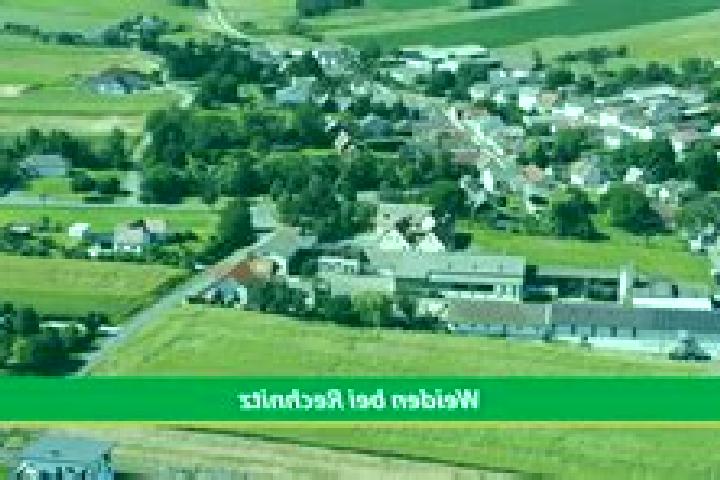 escort Weiden bei Rechnitz