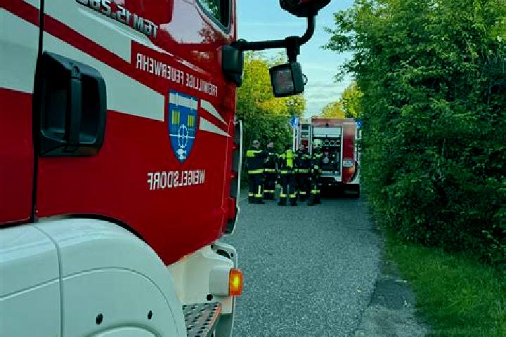 escort Weigelsdorf